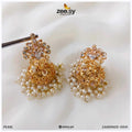 Earrings-0641 - House Of Zarish