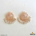 Earrings-0741 - House Of Zarish