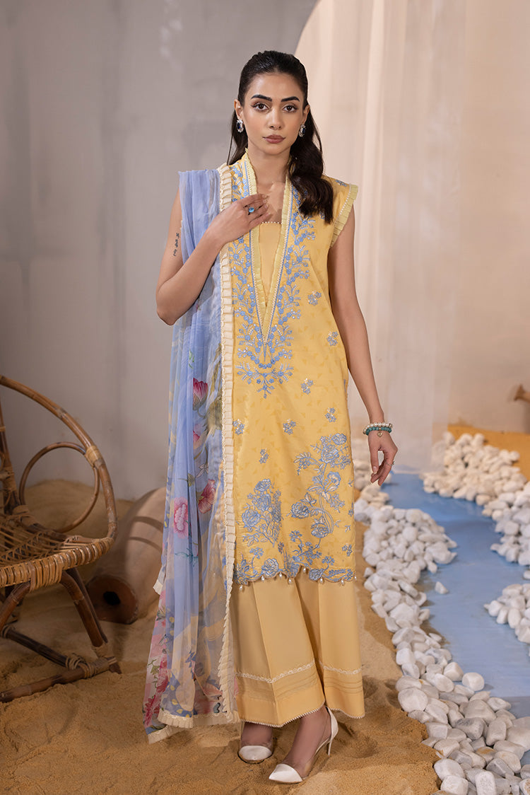 Ellena | Luxury Embroidered Collection| P-02 - House of Zarish