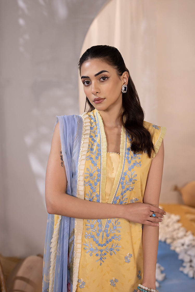 Ellena | Luxury Embroidered Collection| P-02 - House of Zarish