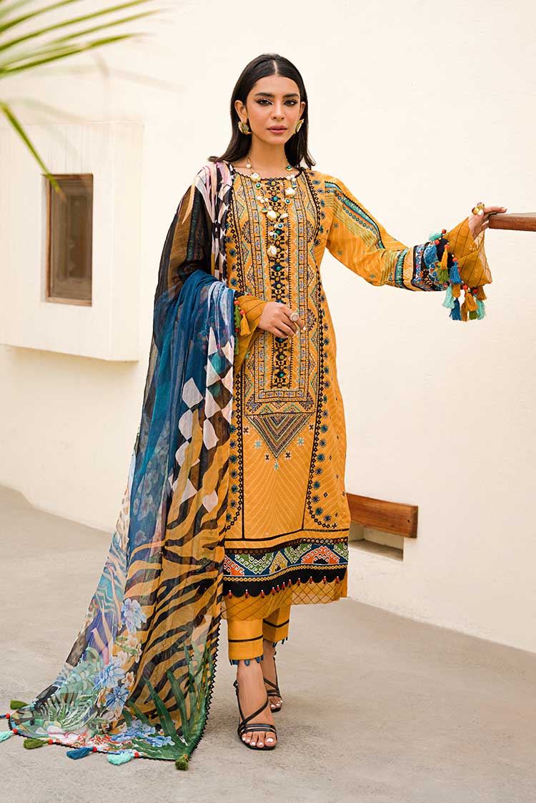 Ellena | Luxury Embroidered Collection | D14 - House of Zarish