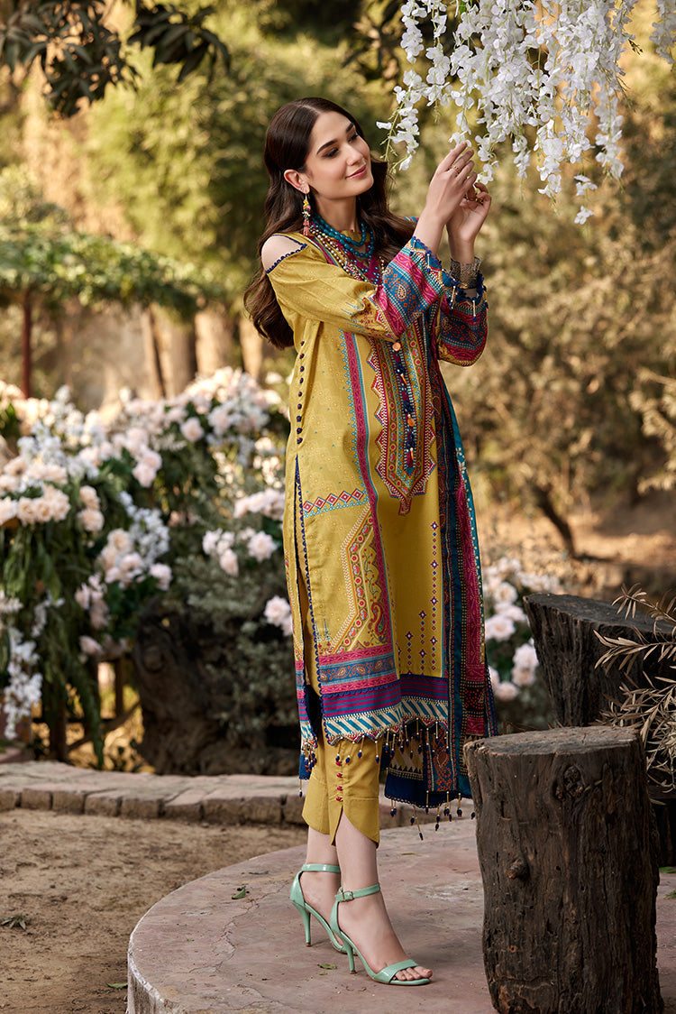 Ellena | Luxury Embroidered Collection | D05 - House of Zarish