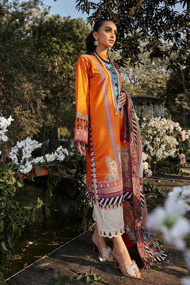 Ellena | Luxury Embroidered Collection | D13 - House of Zarish