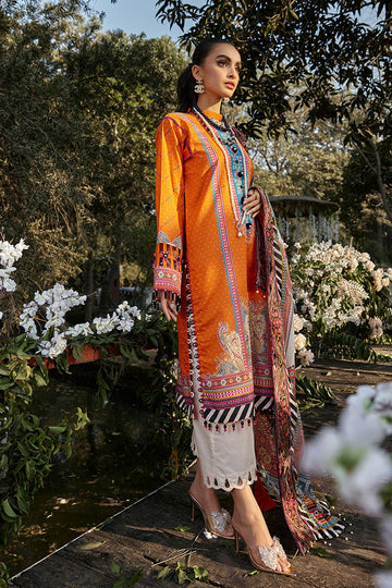 Ellena | Luxury Embroidered Collection | D13 - House of Zarish