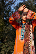 Ellena | Luxury Embroidered Collection | D13 - House of Zarish