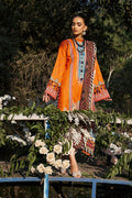 Ellena | Luxury Embroidered Collection | D13 - House of Zarish