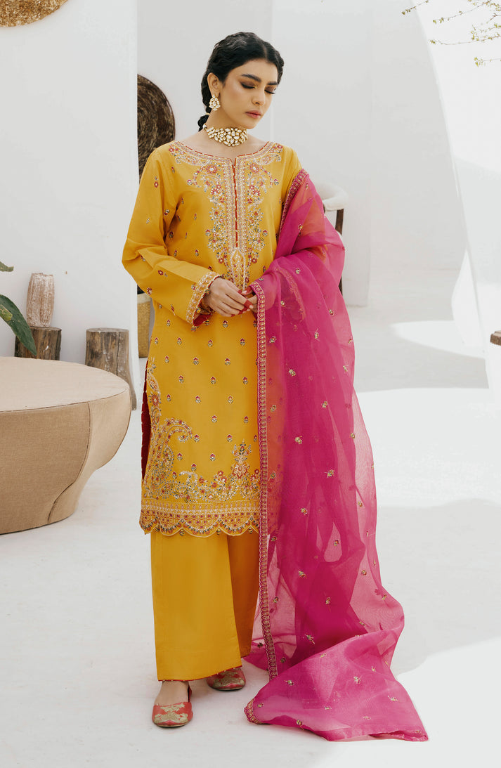 Emaan Adeel | Gul Mohr Eid Pret | WASHMA - House Of Anaya