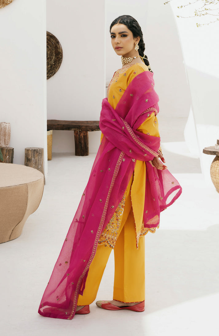 Emaan Adeel | Gul Mohr Eid Pret | WASHMA - House Of Anaya