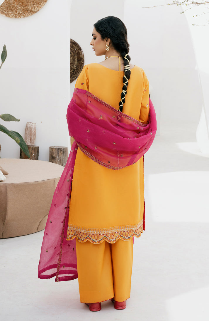 Emaan Adeel | Gul Mohr Eid Pret | WASHMA - House Of Anaya