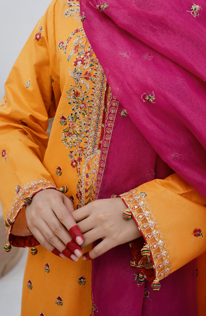 Emaan Adeel | Gul Mohr Eid Pret | WASHMA - House Of Anaya