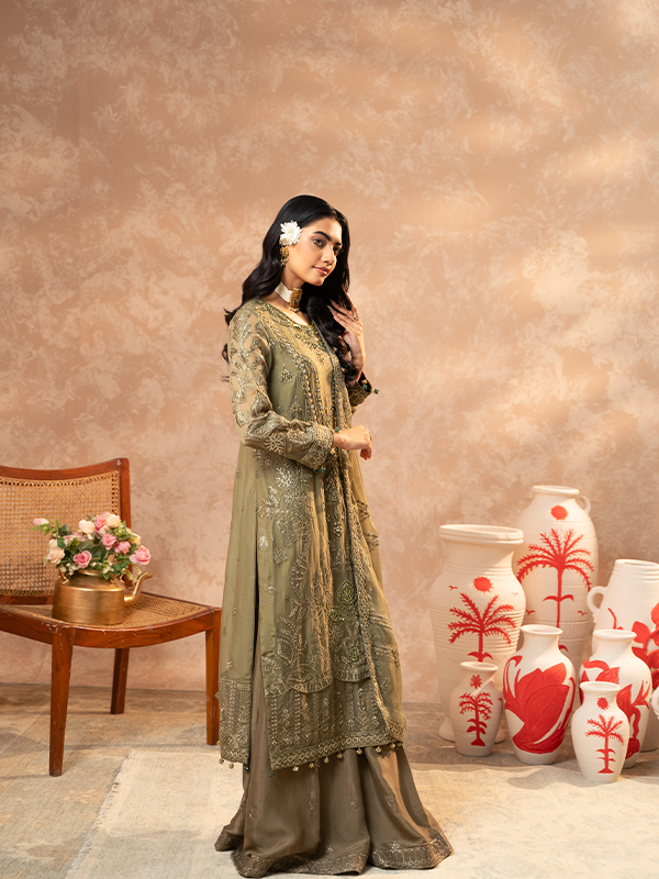 Zebtan | Zeenat Festive Collection | ZN-04 - House of Zarish