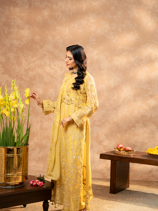 Zebtan | Zeenat Festive Collection | ZN-01 - House of Zarish