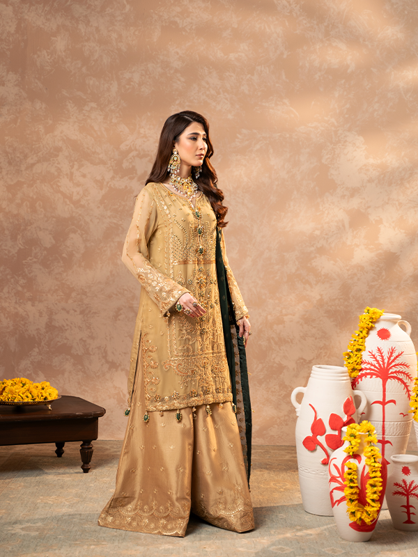 Zebtan | Zeenat Festive Collection | ZN-06 - House of Zarish
