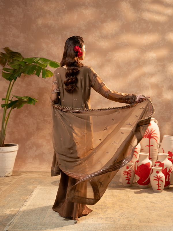 Zebtan | Zeenat Festive Collection | ZN-03 - House of Zarish