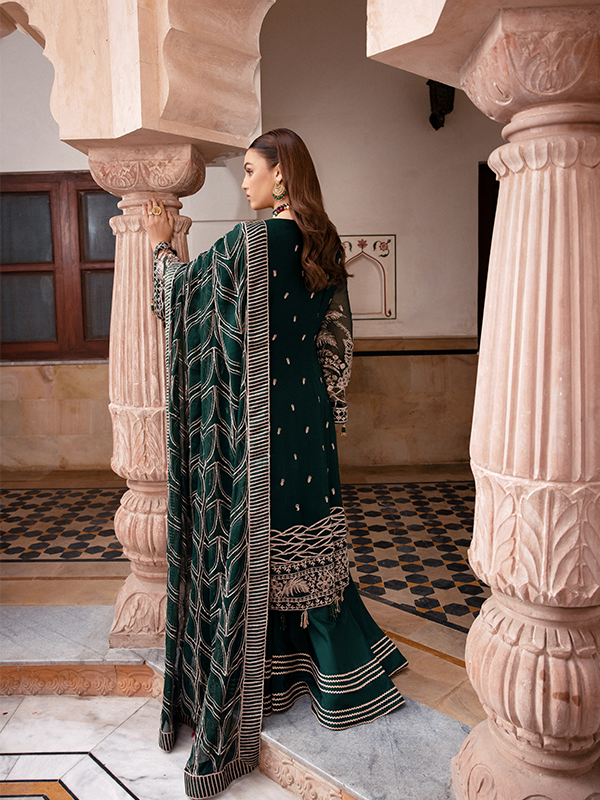 Zebtan | Zeenat Collection Vol 19 | ZN-02 - House of Zarish
