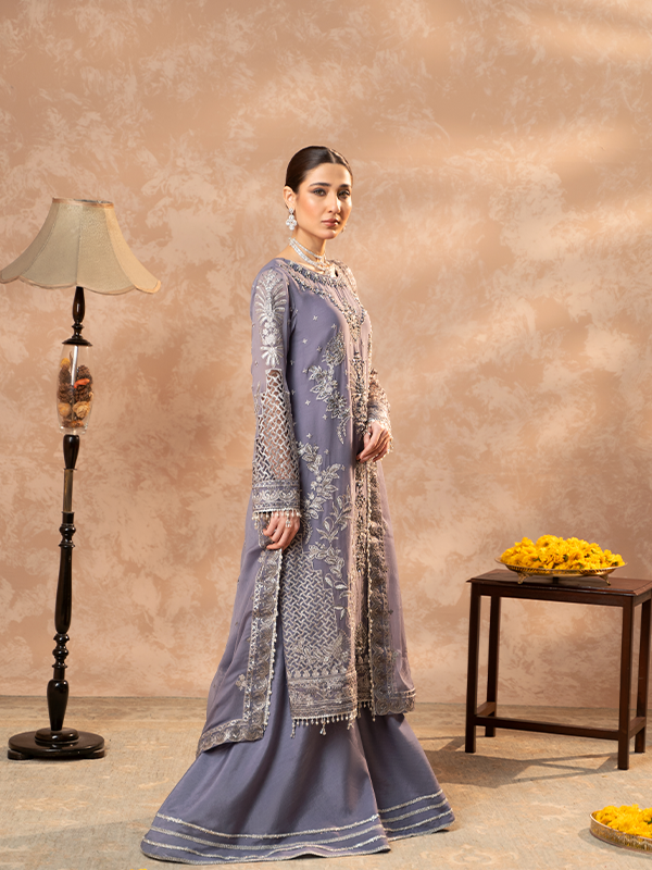 Zebtan | Zeenat Festive Collection | ZN-08 - House of Zarish