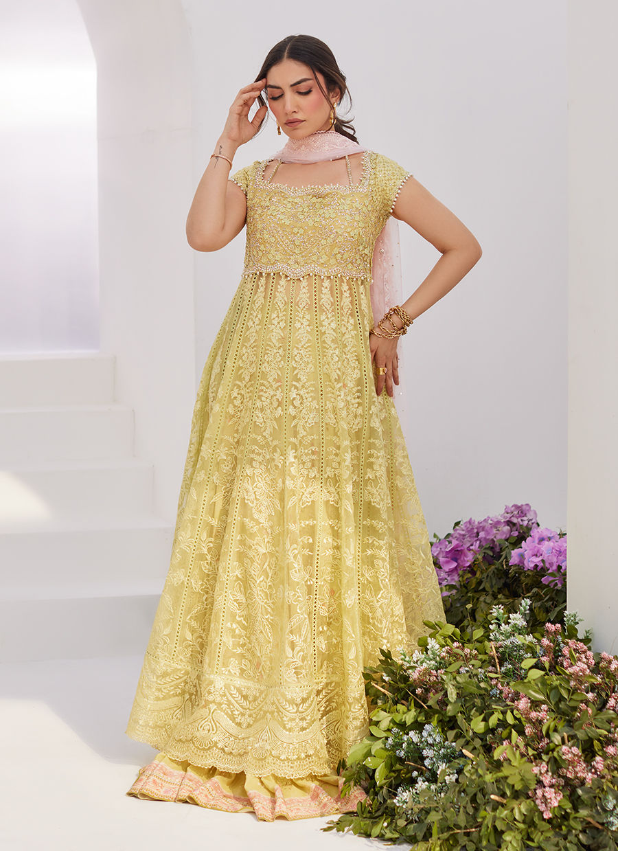 Farah Talib Aziz | Zaza Luxe Pret 24 | REINE KIWI EMBROIDERED EMBELLISHED KALIDAAR - House Of Anaya