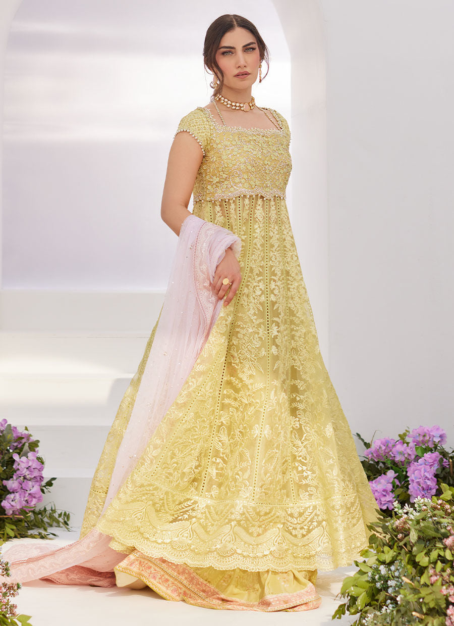 Farah Talib Aziz | Zaza Luxe Pret 24 | REINE KIWI EMBROIDERED EMBELLISHED KALIDAAR - House Of Anaya