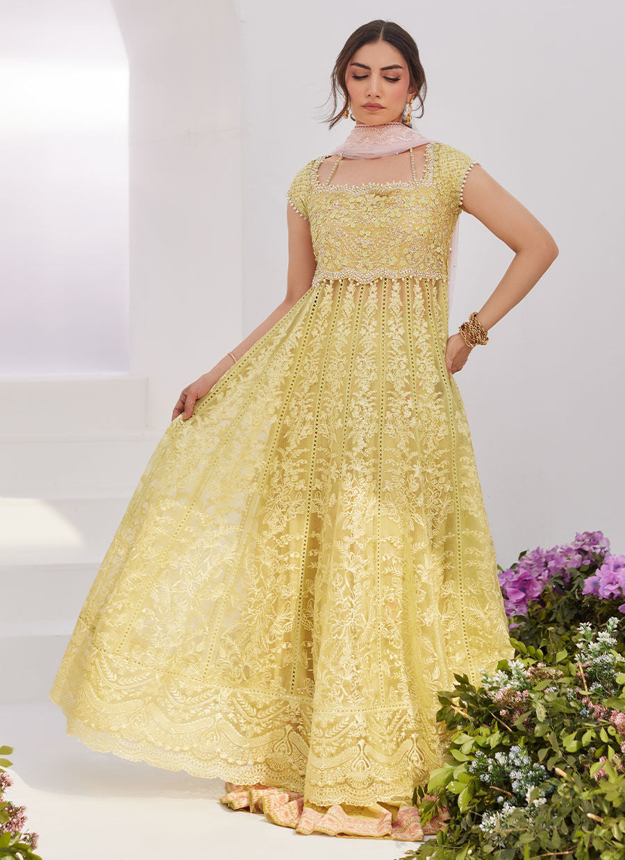 Farah Talib Aziz | Zaza Luxe Pret 24 | REINE KIWI EMBROIDERED EMBELLISHED KALIDAAR - House Of Anaya