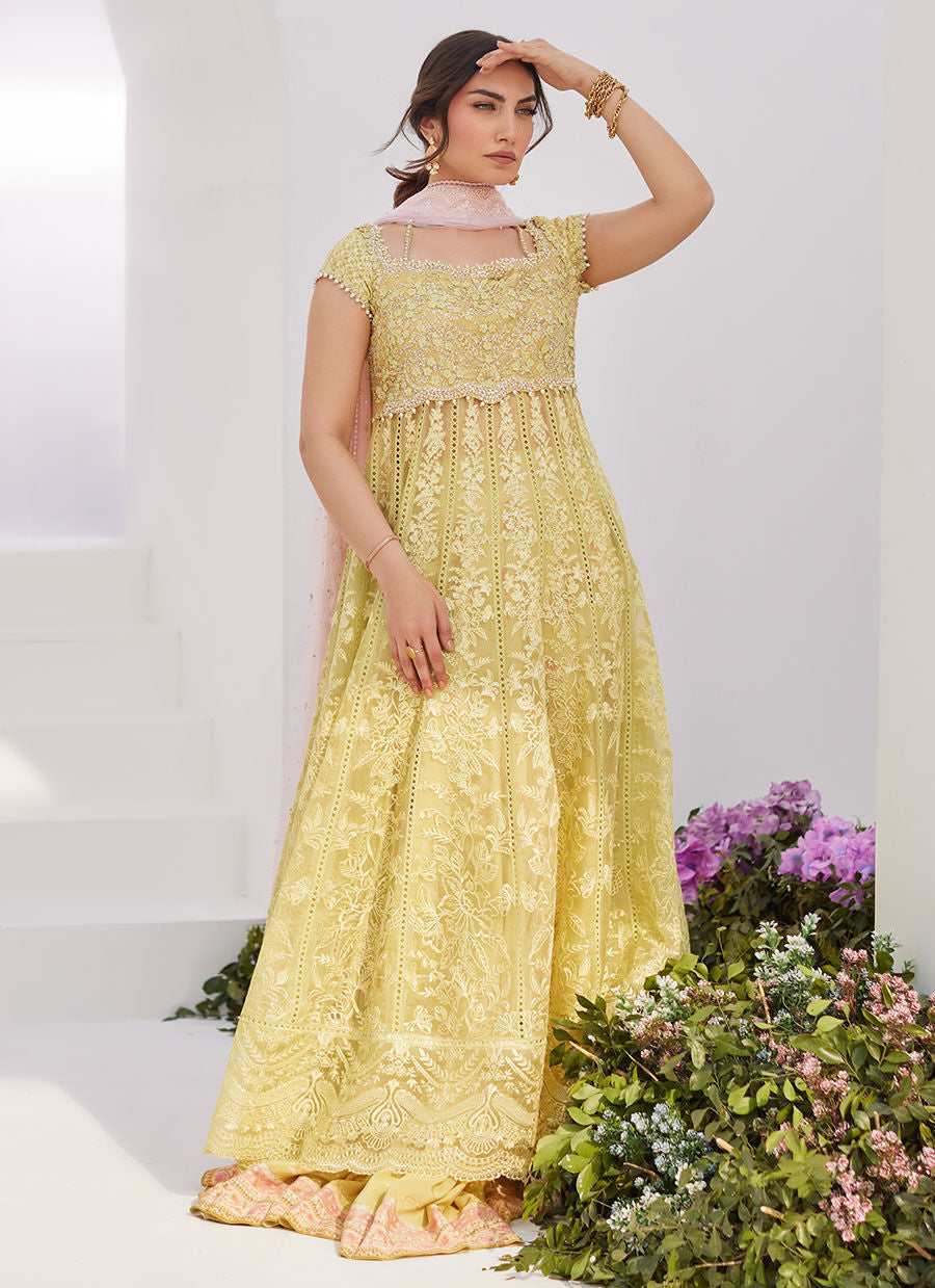 Farah Talib Aziz | Zaza Luxe Pret 24 | REINE KIWI EMBROIDERED EMBELLISHED KALIDAAR - House Of Anaya
