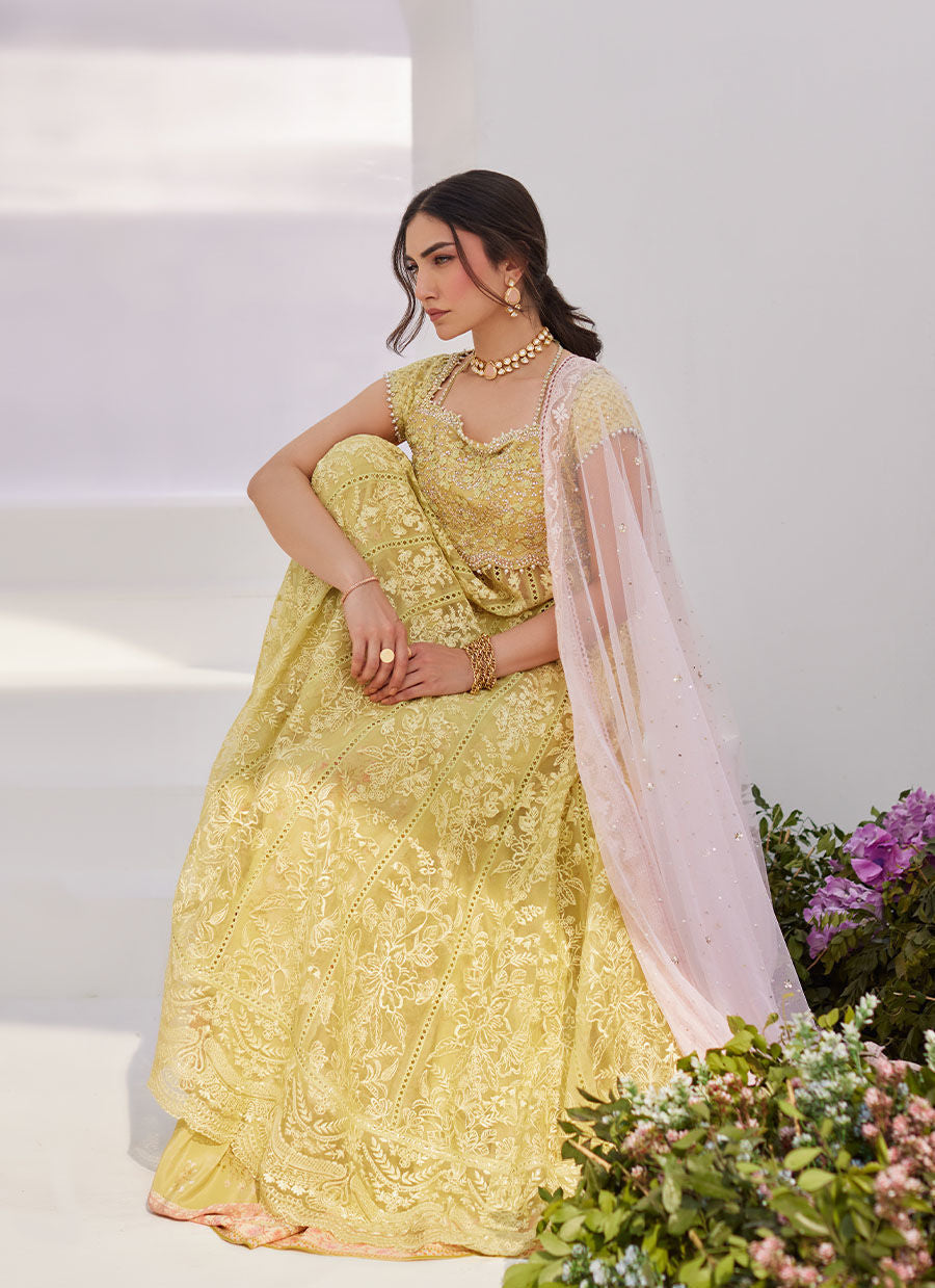 Farah Talib Aziz | Zaza Luxe Pret 24 | REINE KIWI EMBROIDERED EMBELLISHED KALIDAAR - House Of Anaya