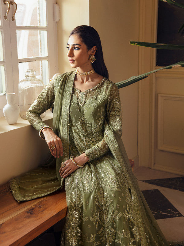 Gulaal | Embroidered Chiffon 23 | AYSA GL-EC-23V1-07 - House Of Anaya