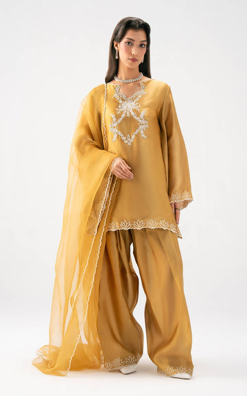 Asifa and Nabeel | Celevara | Golden Reverie