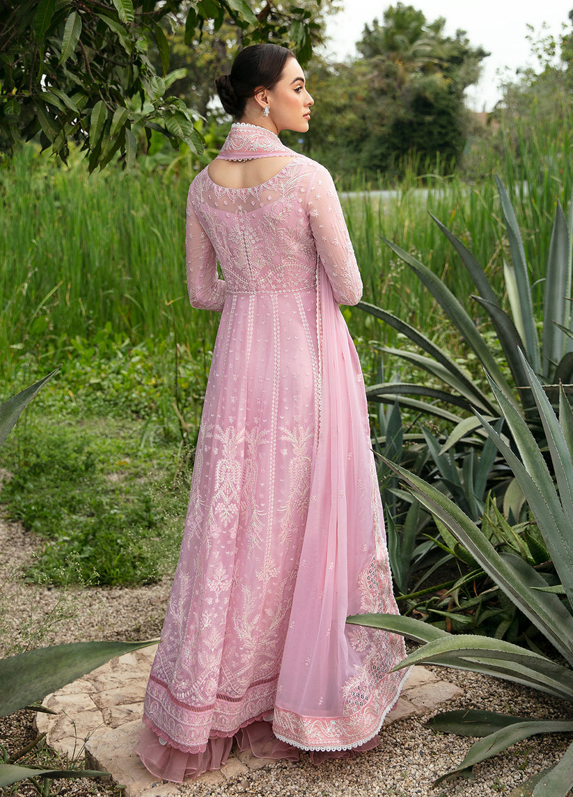 Gulaal | Embroidered Chiffon Eid Collection | AMOUR - House Of Anaya