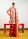Hussain Rehar | Basic Not Basic |  Blush - House Of Anaya