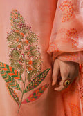 Hussain Rehar | Basic Not Basic |  Blush - House Of Anaya
