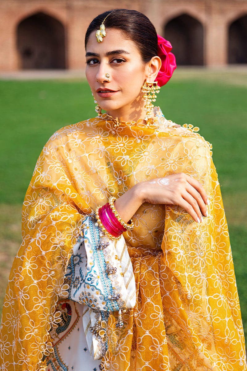 MOHSIN NAVEED RANJHA SURAJ MUKHI FESTIVAL COLLECTION'23 - Riwayat-e-khas
