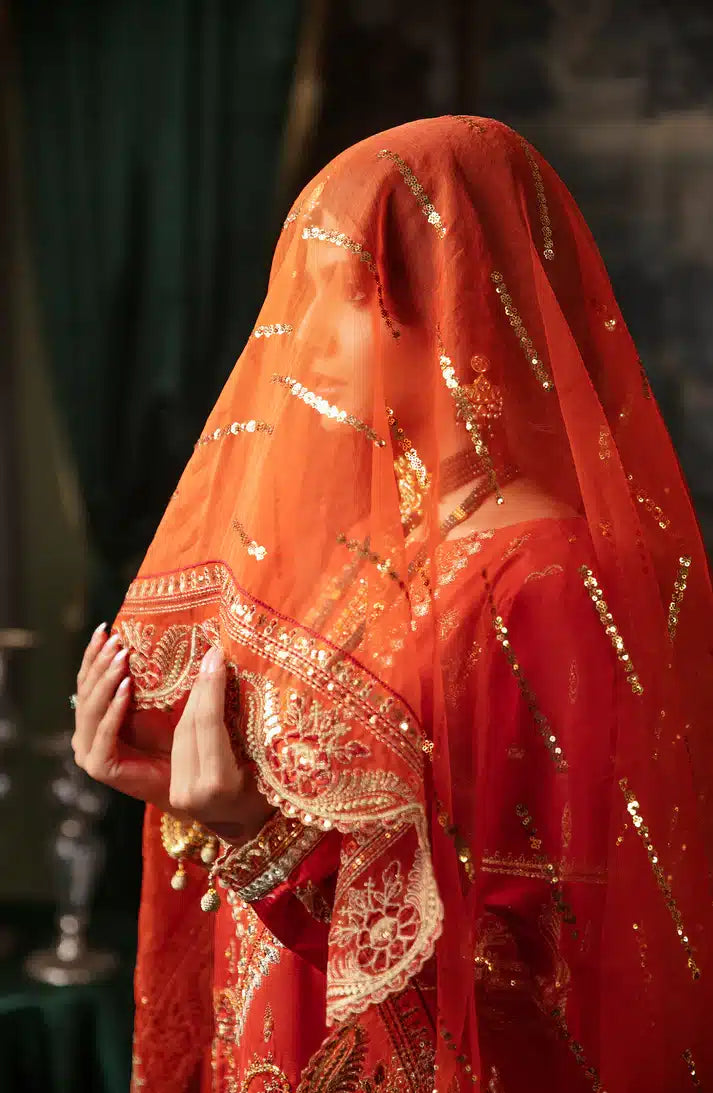 Emaan Adeel | Noori Silk Formals 23 | NR 04 MAHJABEEN - House Of Anaya