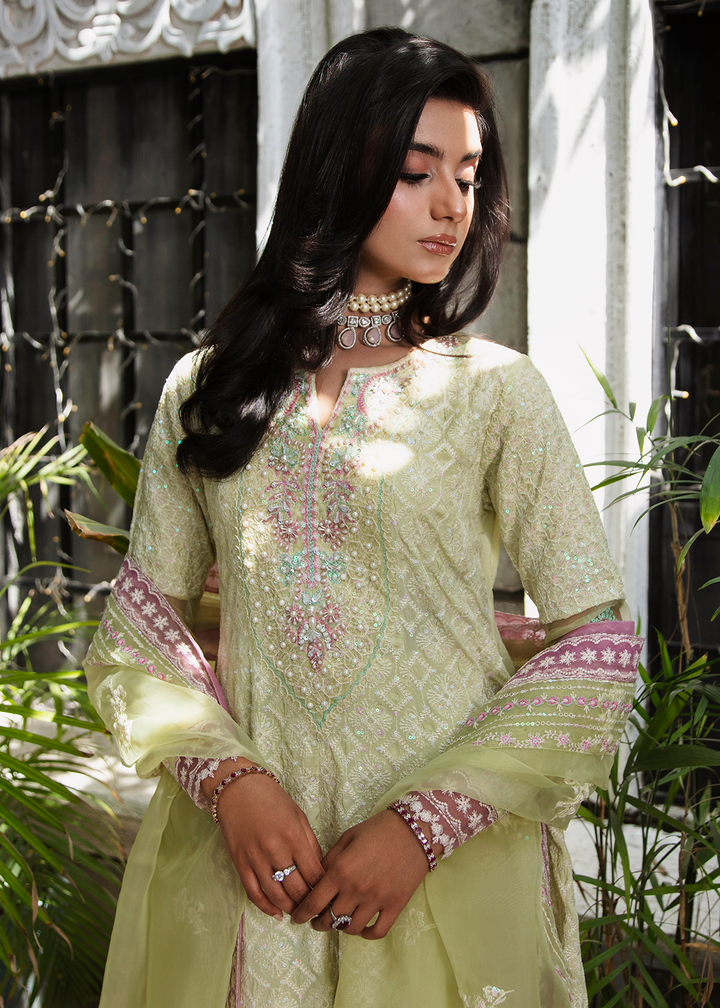 Maria Osama Khan | Rang e Noor Eid Edit | Nargis - House Of Anaya