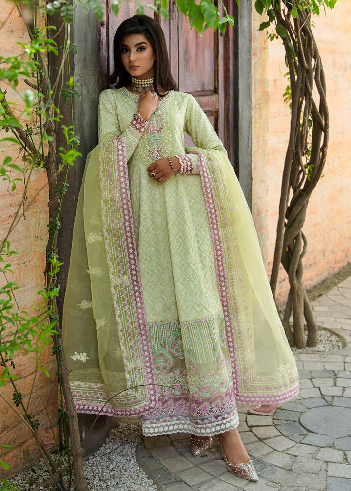 Maria Osama Khan | Rang e Noor Eid Edit | Nargis - House Of Anaya