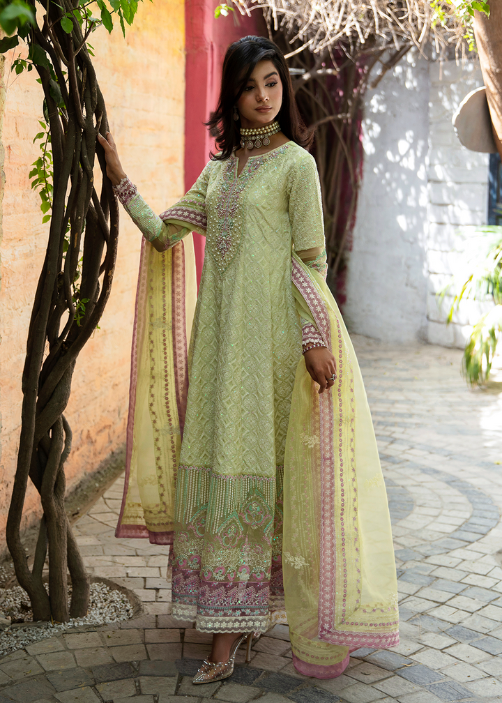 Maria Osama Khan | Rang e Noor Eid Edit | Nargis - House Of Anaya
