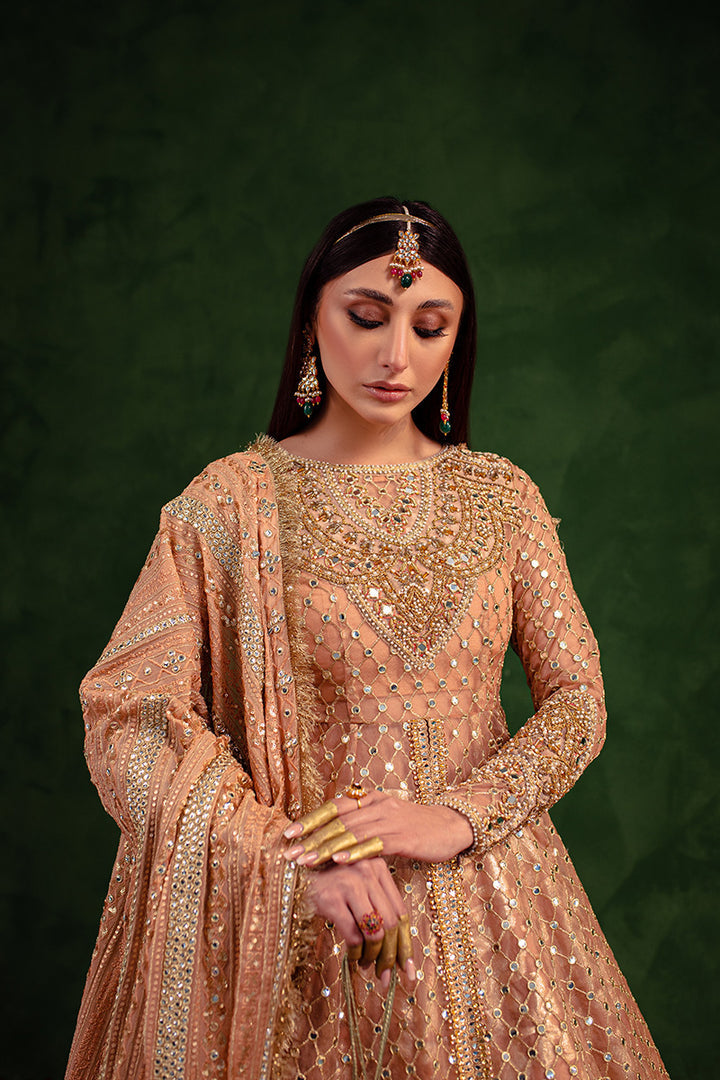 Maria Osama Khan | Salma Sitara | VASL - House Of Anaya