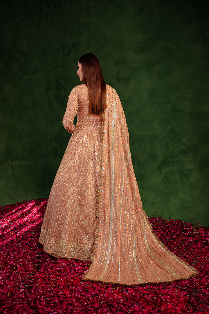 Maria Osama Khan | Salma Sitara | VASL - House Of Anaya