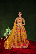 Maria Osama Khan | Salma Sitara | CHAMBELI - House Of Anaya