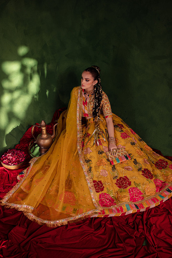 Maria Osama Khan | Salma Sitara | CHAMBELI - House Of Anaya