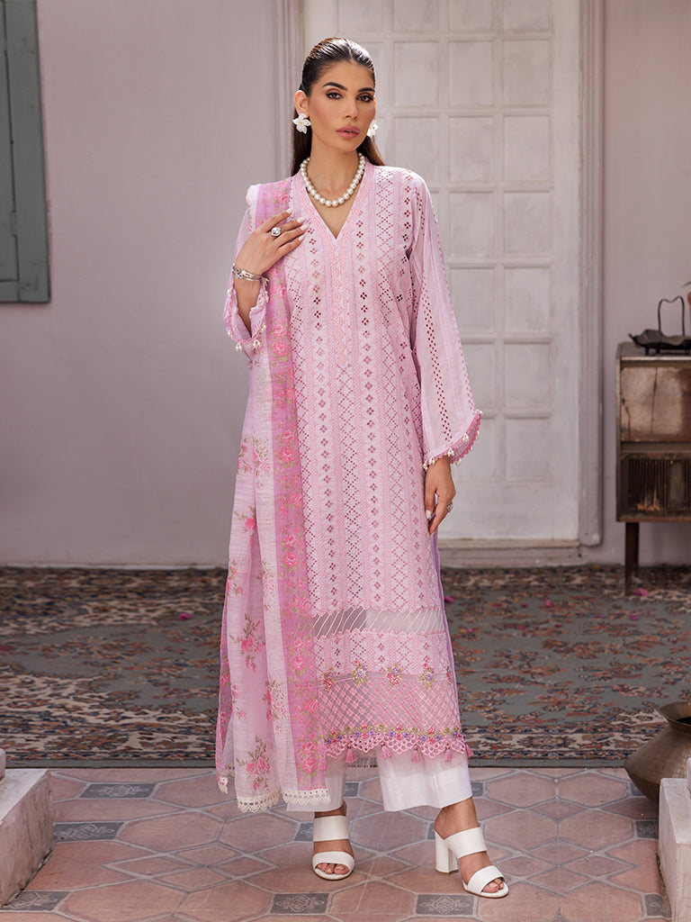 Rajbari | Nissa Chikankari Edition 25 | D# - 06 - House Of Zarish
