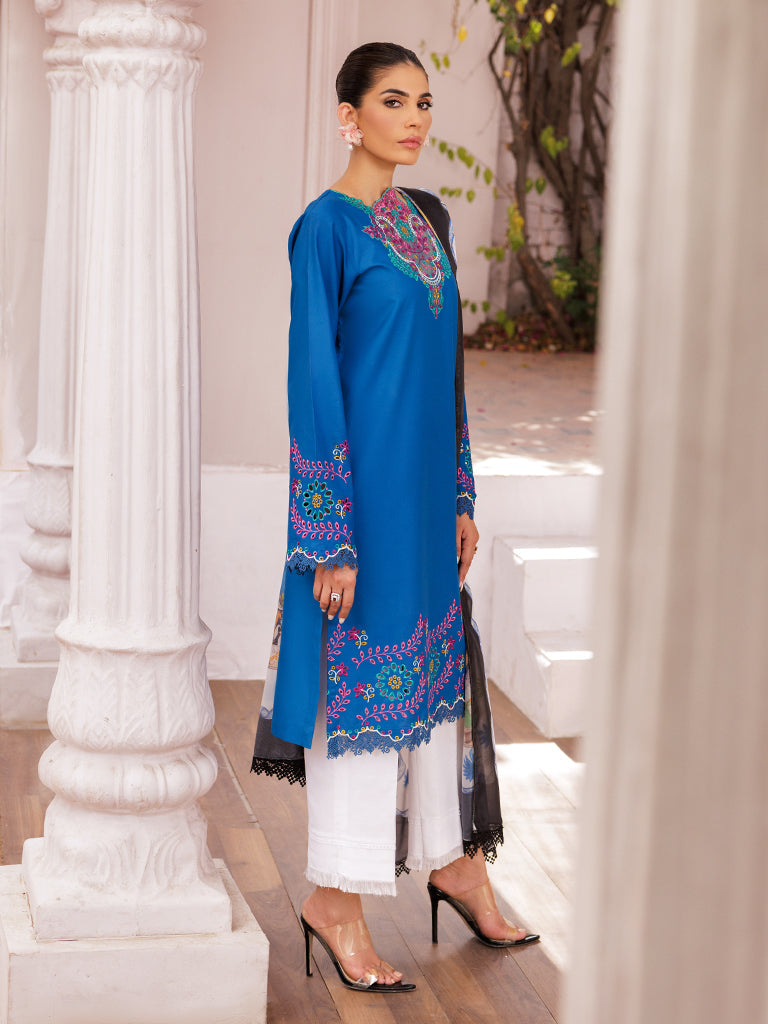 Rajbari | Nissa Chikankari Edition 25 | D# - 04 - House Of Zarish