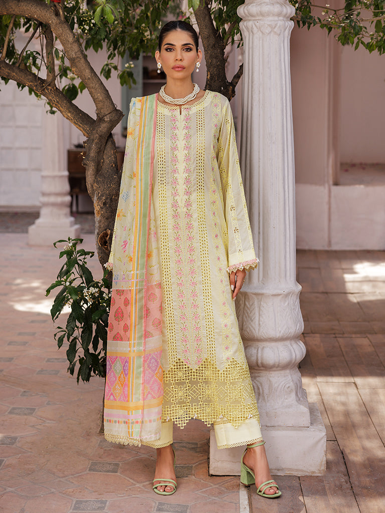 Rajbari | Nissa Chikankari Edition 25 | D# - 09 - House Of Zarish