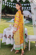Rajbari | Exclusive Printkari 2024 | 1-A - House of Zarish
