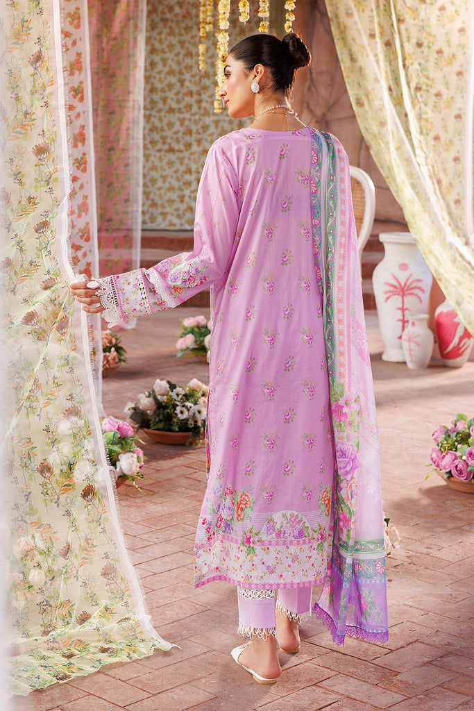 Rajbari | Exclusive Printkari 2024 | 2-B - House of Zarish