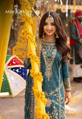 Asim Jofa | Chamak Damak Festive 24 | AJCD-07 - House Of Anaya
