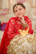 Maria B | 3 Piece Embroidered Marina Twill Suit | MKD-W24-12 - House Of Zarish