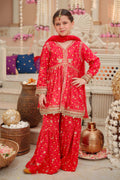 Maria B | 3 Piece Embroidered Marina Twill Suit | MKD-W24-12 - House Of Zarish