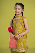 Maria B | 3 Piece Embroidered Organza Suit | MKS-EF24-14 - House Of Zarish