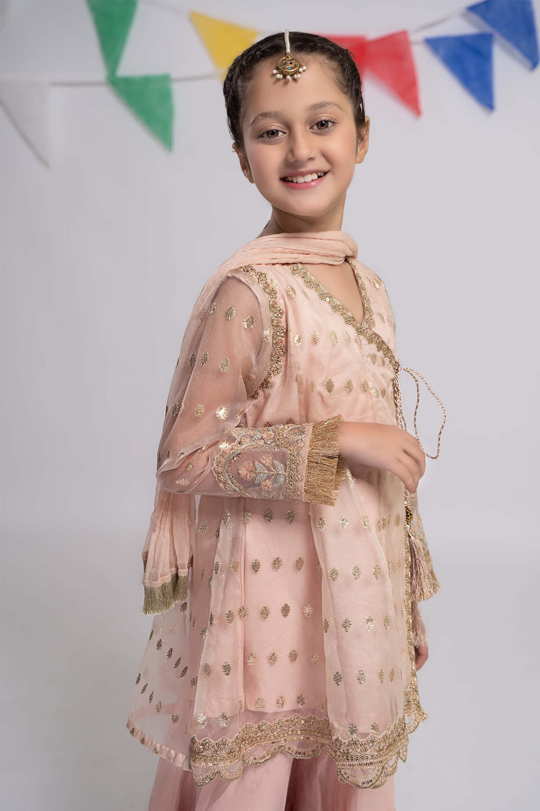 Maria B | 3 Piece Embroidered Organza Suit | MKS-EF24-18 - House Of Zarish