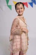 Maria B | 3 Piece Embroidered Organza Suit | MKS-EF24-18 - House Of Zarish
